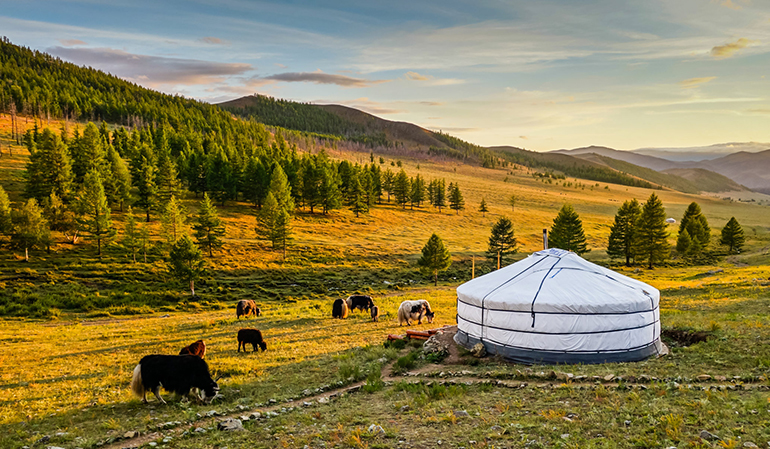 Experience The Mongolia With Our MongolGerege Company